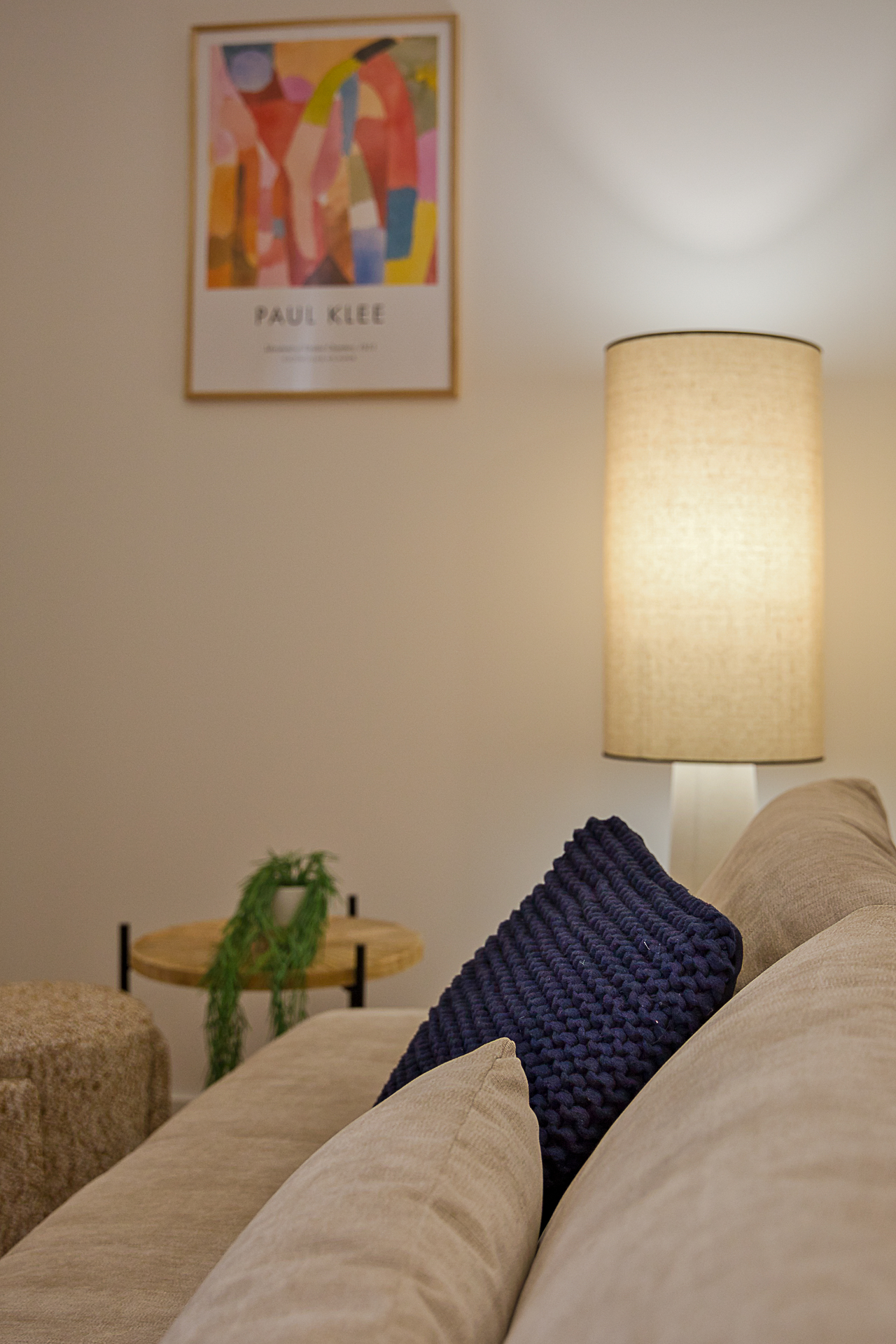 Le Michel - Photo de détail coussin et luminaire